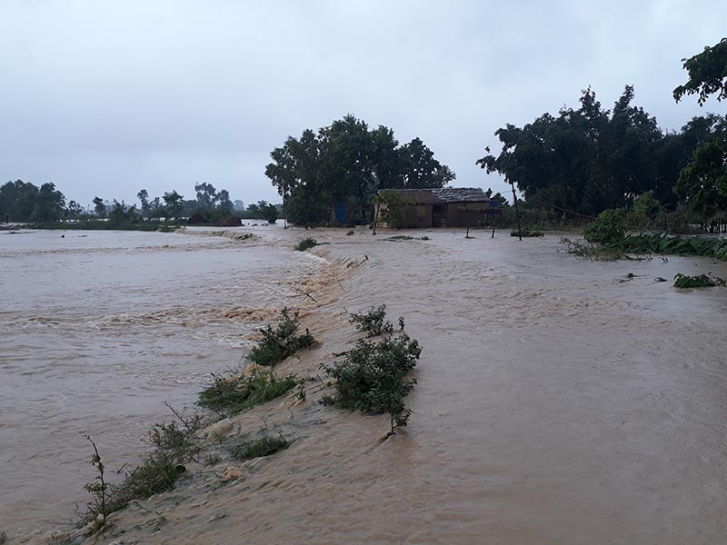 A land mass under inundation in Bara district. Photo: Puspa Raj Khatiwada/THT