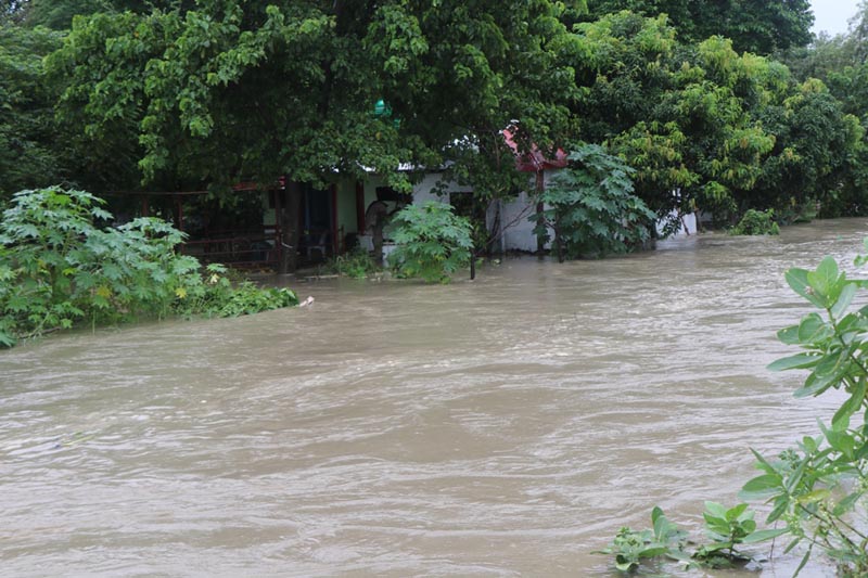 Water flooded inside a human settlement area in Ithari Sub Metropolitan City of Sunsari district due to continous rainfall on Friday, July 12, 2019. Photo: Santosh Kafle