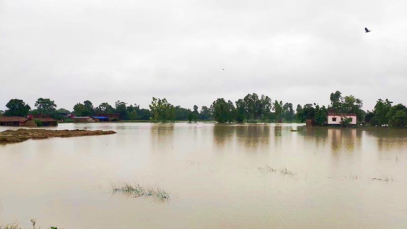 This image shows the inundated settlement in Gaur Municipality of Rautahat district, on Friday, July 12, 2019. Photo: Prabhat Kumar Jha/THT