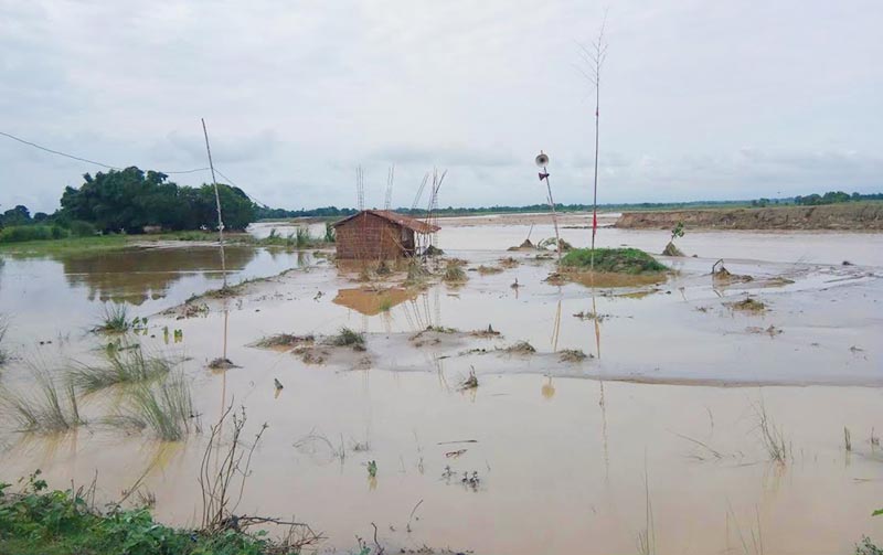 An inundated fish pond in Kohlbi Municipality, Bara, on Tuesday, July 16, 2019. Photo: THT