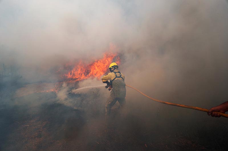Firefighters help to put out a forest fire near the village of Vila de Rei, Portugal July 21, 2019. Photo: Reuters