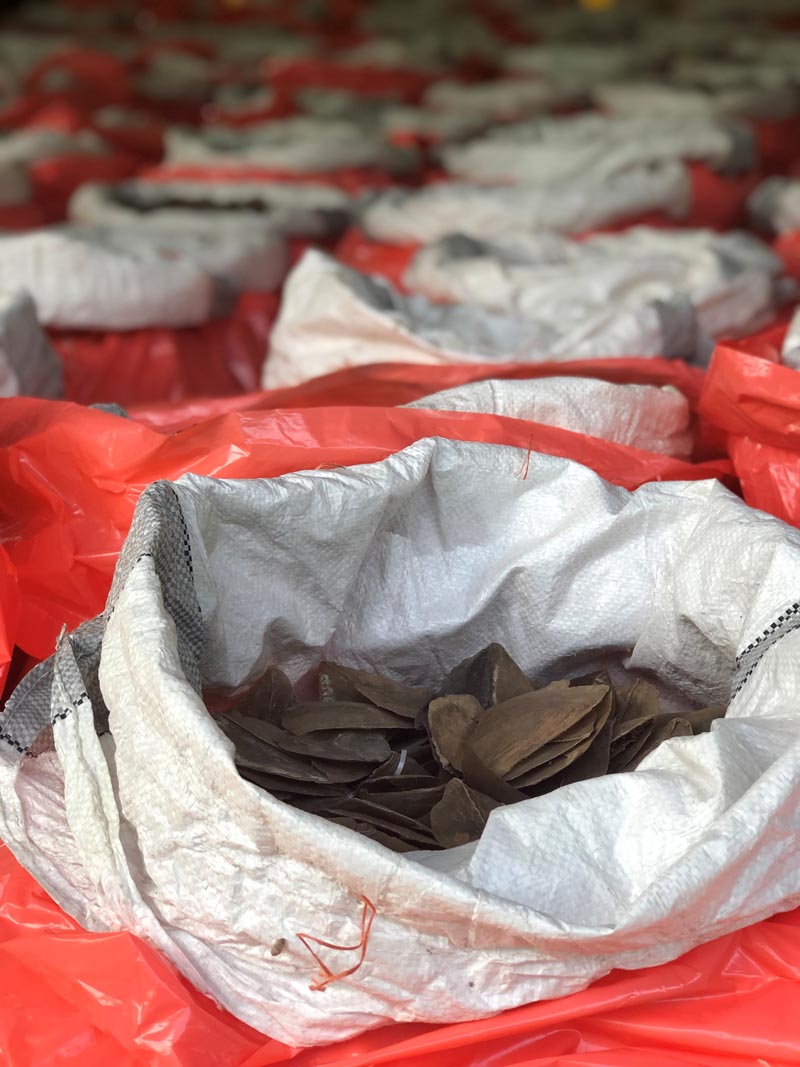 Pangolin scales and elephant ivory that were seized by Singapore's National Parks Board, Customs and Immigration and Checkpoints Authority from a shipment from the Democratic Republic of Congo are seen in Singapore, in this undated handout released on July 23, 2019. Photo: Singapore National Parks Board