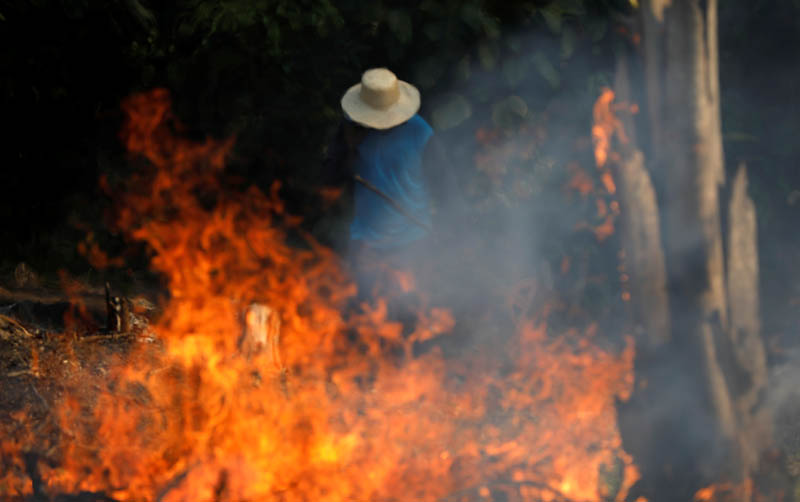 A man works in a burning tract of Amazon jungle as it is being cleared by loggers and farmers in Iranduba, Amazonas state, Brazil August 20, 2019. Photo: Reuters