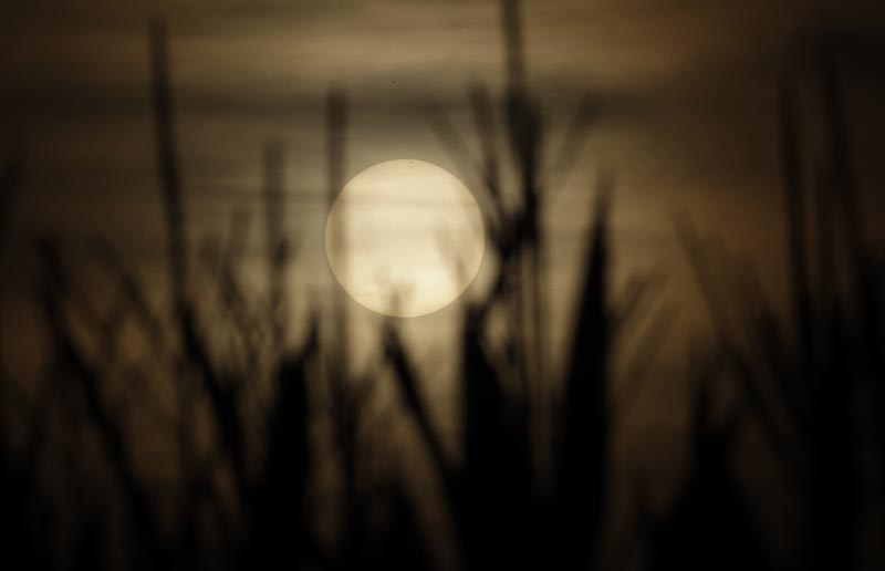 The sun sets in Cuggiono near Milan, Italy, July 25, 2019. Photo: AP/File