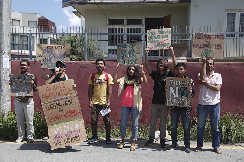 Nepali activists hold placards expressing concern over fires burning across the Amazon region as they gather outside the Embassy of Brazil in Kathmandu, on Monday, August 26, 2019. Photo: AP