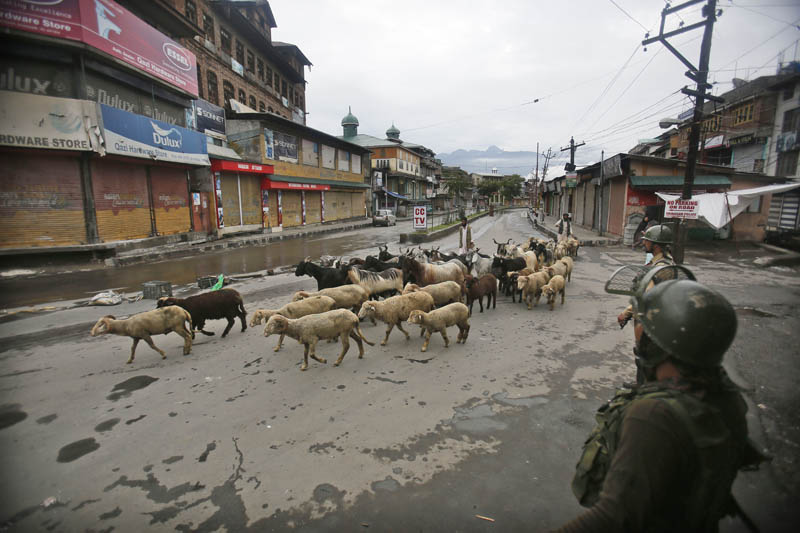 Indian paramilitary soldiers guard as a Kashmiri livestock seller crosses a street ahead of Eid al Adha during a security lock down in Srinagar, Indian controlled Kashmiri, Saturday, August 10, 2019. Photo: AP