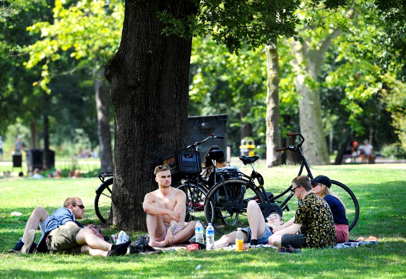 People cool off underneath a tree during a sunny day in the Vondelpark in Amsterdam, the Netherlands, July 25, 2019. Photo: Reuters
