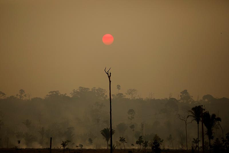 A view of a deforested area at the National Forest Bom Futuro in Rio Pardo, Rondonia state, Brazil, September 12, 2019.  Photo: Reuters
