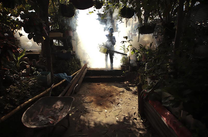 A worker fumigates inside a home in an attempt to control the spread of mosquito-borne diseases in Los Sitios, El Salvador. File Photo: AP