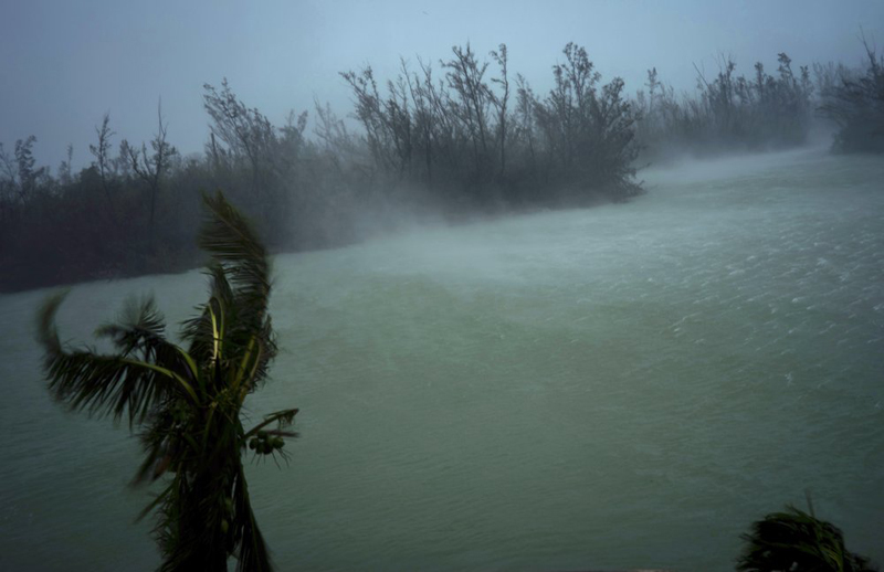 Strong winds from Hurricane Dorian blow the tops of trees and brush while whisking up water from the surface of a canal that leads to the sea, located behind the brush at top, seen from the balcony of a hotel in Freeport, Grand Bahama, Bahamas, Monday, September 2, 2019. Photo: AP