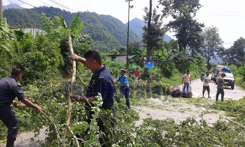 Police and locals cutting the branches of trees along a section of the Prithvi Highway, in Aanbukhairani, on Saturday. Photo: THT