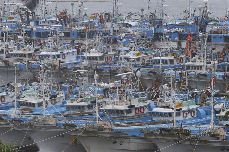 Fishing boats are anchored in port as Typhoon Lingling approaches to Korean peninsular on Jeju Island, South Korea on September 6, 2019. Photo: AP
