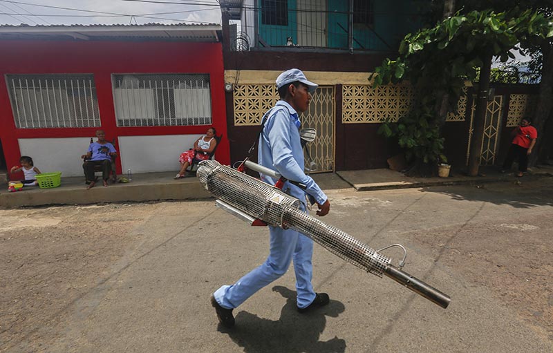 A worker walks the streets during a day of fumigation in Managua, Nicaragua. As a region, Central America and Mexico have already recorded nearly double the number of dengue cases as in all the previous year. File Photo: AP