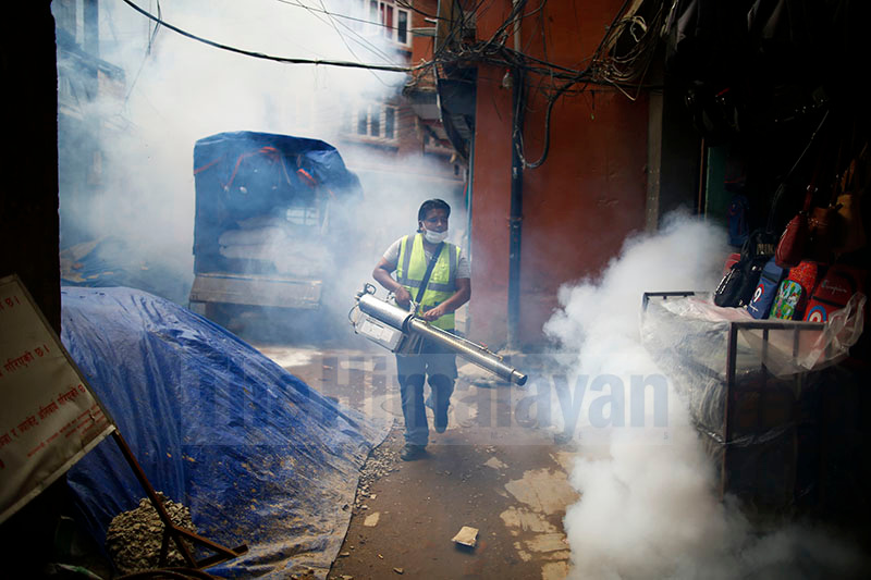 A worker spraying disinfectant to kill mosquitoes that cause dengue, in Kathmandu, on Wednesday. Photo: Skanda Gautam/ THT