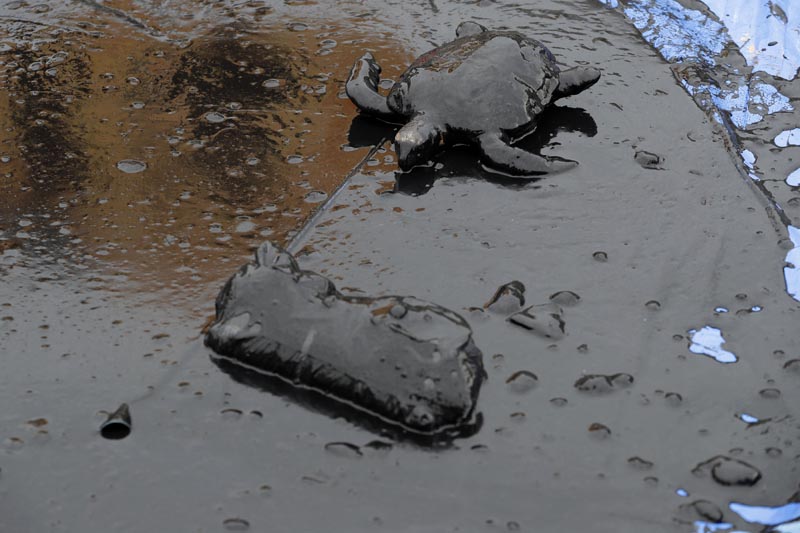 A toy turtle lays covered in oil during a Greenpeace protest against the government's environmental policies, in front of the Planalto Presidential Palace, in Brasilia, Brazil, Wednesday, October 23, 2019. Photo: AP