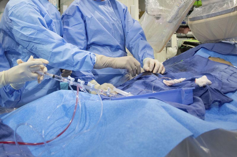 Surgeons perform a non-emergency angioplasty at Mount Sinai Hospital in New York, Feb 16, 2017. Photo: AP