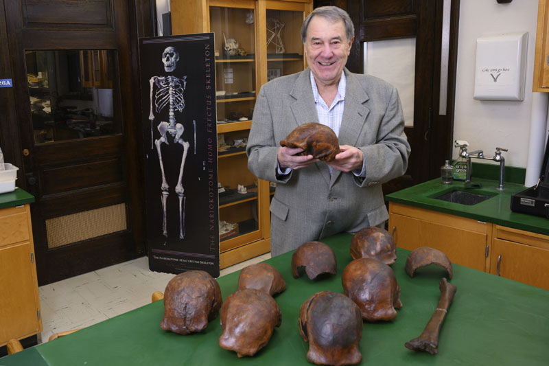 In this 2019 photo provided by the University of Iowa, Professor Russell Ciochon holds a cast of a Homo erectus skull at his lab in Iowa City. Photo: Tim Schoon/University of Iowa via AP