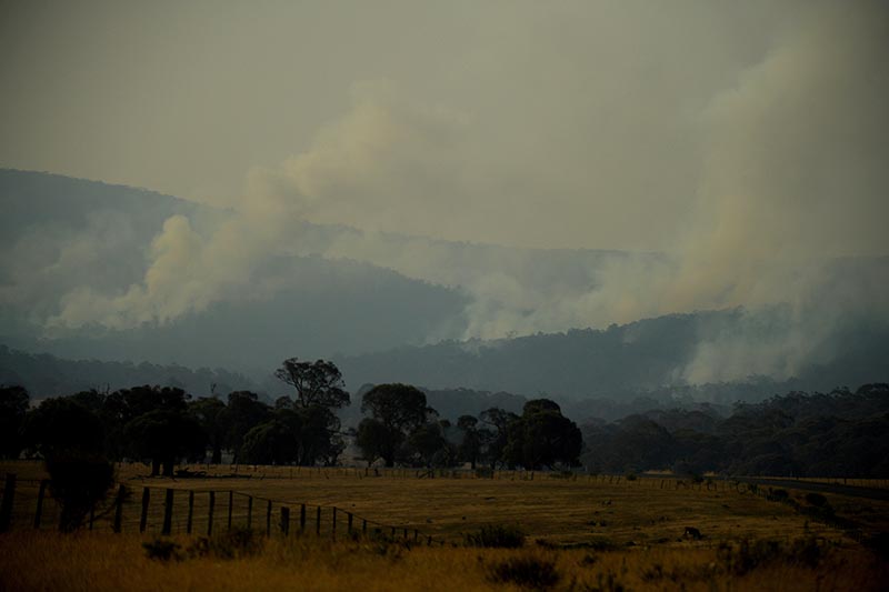 Smoke rises from a fire at the Adaminaby Complex near Yaouk, New South Wales, Australia January 11, 2020. Photo: Reuters