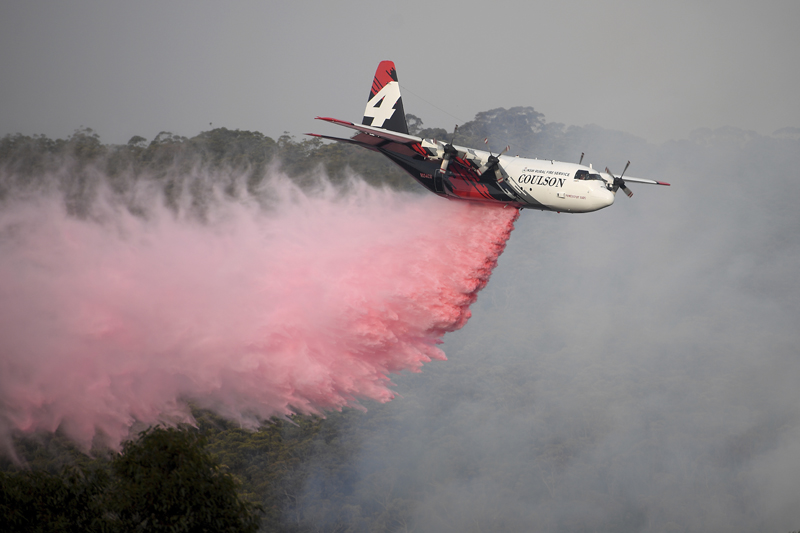 Rural Fire Service large air tanker 134, operated by Coulson Aviation in the US state of Oregon, drops fire retardant on a wildfire burning close to homes at Penrose, Australia, 165km south of Sydney, Jan 10, 2020. Photo: Dan Himbrechts/AAP Image via AP