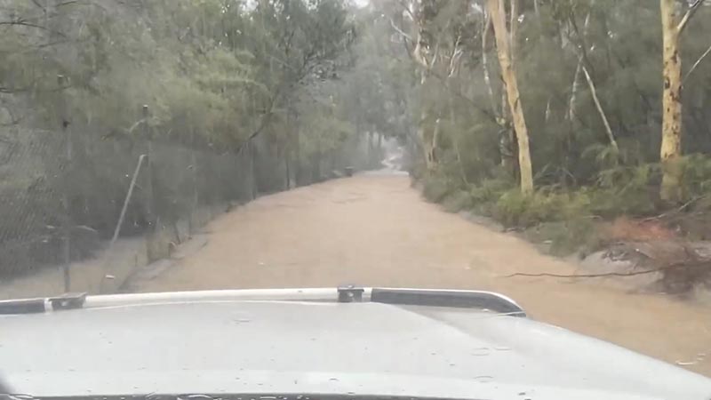 Flooding is seen along a road at the Australian Reptile Park in Somersby, New South Wales in this still frame obtained from January 17, 2020 social media video. Photo: Reuters