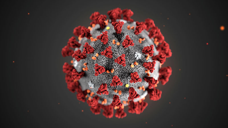 The ultrastructural morphology exhibited by the 2019 Novel Coronavirus (2019-nCoV), which was identified as the cause of an outbreak of respiratory illness first detected in Wuhan, China, is seen in an illustration released by the Centers for Disease Control and Prevention (CDC) in Atlanta, Georgia, US January 29, 2020. Photo: Alissa Eckert, MS; Dan Higgins, MAM/CDC/Handout via Reuters