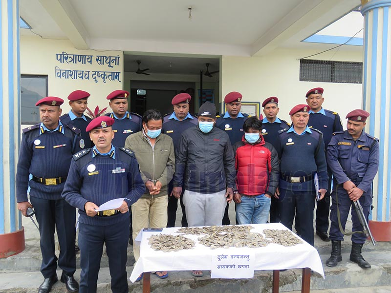 The arrestees along with seized pangolin scales being made public at District Police Office, Makawanpur, on Tuesday, January 21, 2020. Photo: Prakash Dahal/THT