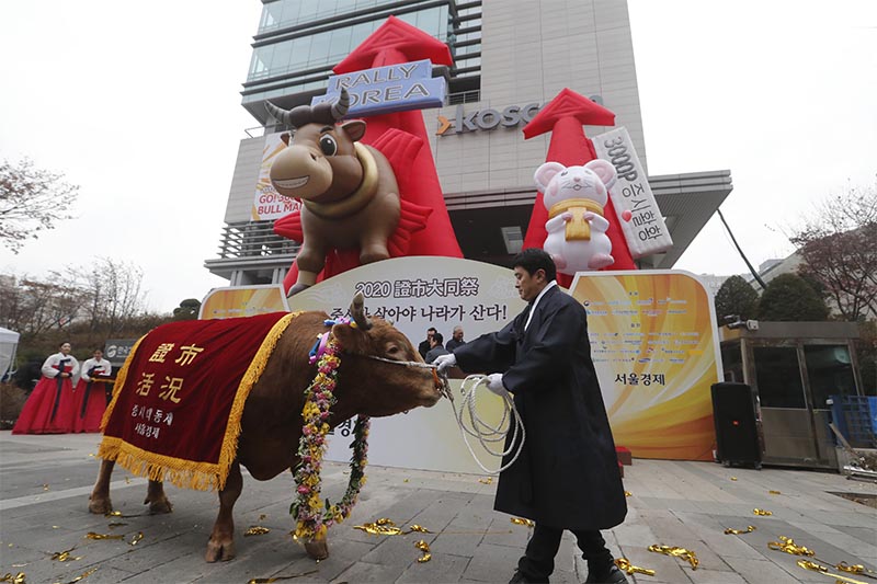 A farmer parades with a bull to celebrate the opening of this year's trading in Seoul, South Korea, Thursday, on January 2, 2020. Photo: AP