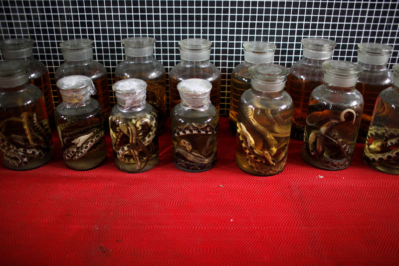 FILE PHOTO: Dead snakes are preserved in jars at a snake farm in Zisiqiao village, Zhejiang province, China February 22, 2013. REUTERS/Aly Song/File Photo