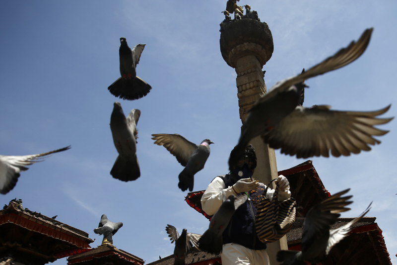 A person wearing protective gear feeds pigeons around Kathmandu Durbar Square, on the 26th day of lockdown, on Saturday, April 18, 2020. Photo: Skanda Gautam/THT