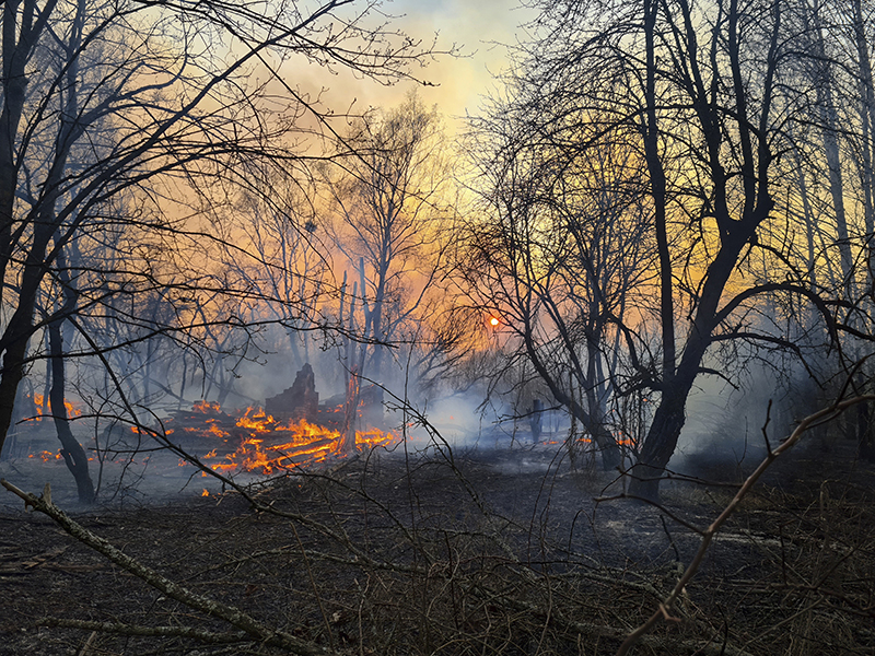 A view of a forest fire burning near the village of Volodymyrivka in the exclusion zone around the Chernobyl nuclear power plant, Ukraine, Sunday, April 5, 2020. Photo: AP