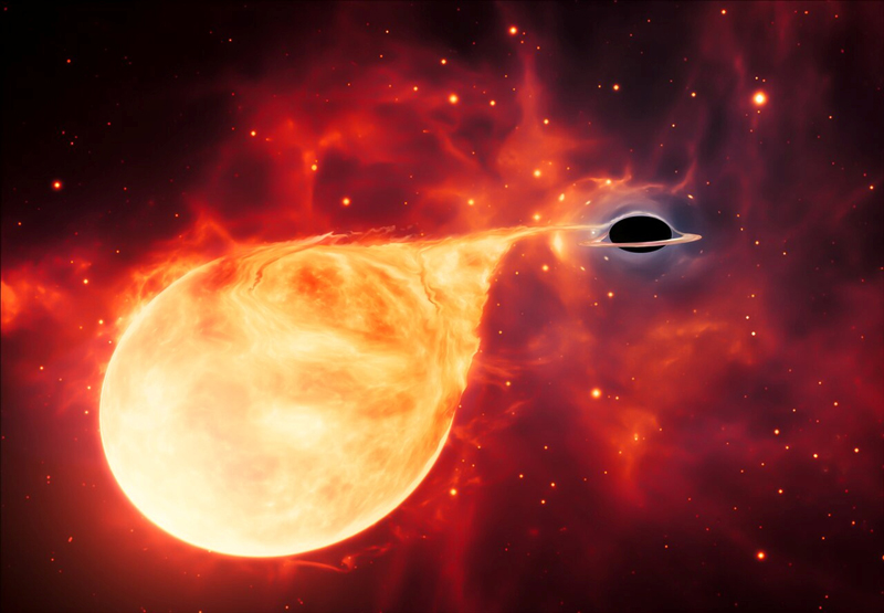 A star being torn apart by an intermediate-mass black hole, surrounded by an accretion disc is seen in an artist's impression obtained by Reuters April 2, 2020. This thin, rotating disc of material consists of the leftovers of a star which was ripped apart by the tidal forces of the black hole. Photo: ESA/Hubble, M. Kornmesser/Handout via Reuters