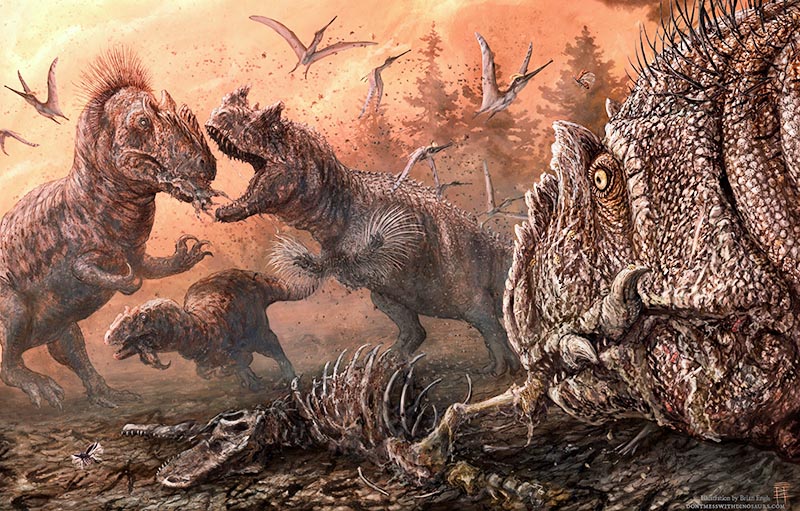 The large meat-eating Jurassic Period dinosaur Allosaurus engages in cannibalism in a stressed ecosystem in an artist's impression released May 27, 2020. Illustration by Brian Engh/dontmesswithdinosaurs.com/Handout via Reuters