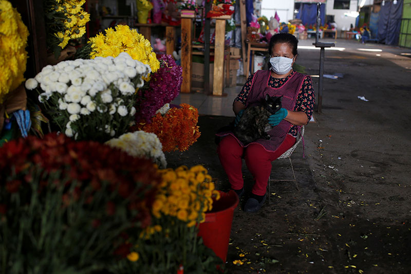 A vendor is seen with a cat beside flowers for sale before Mother's Day at the Lima wholesale flower market as Peru extended a nationwide lockdown amid the outbreak of the coronavirus disease (COVID-19), in Lima, Peru May 8, 2020. Photo: Reuters