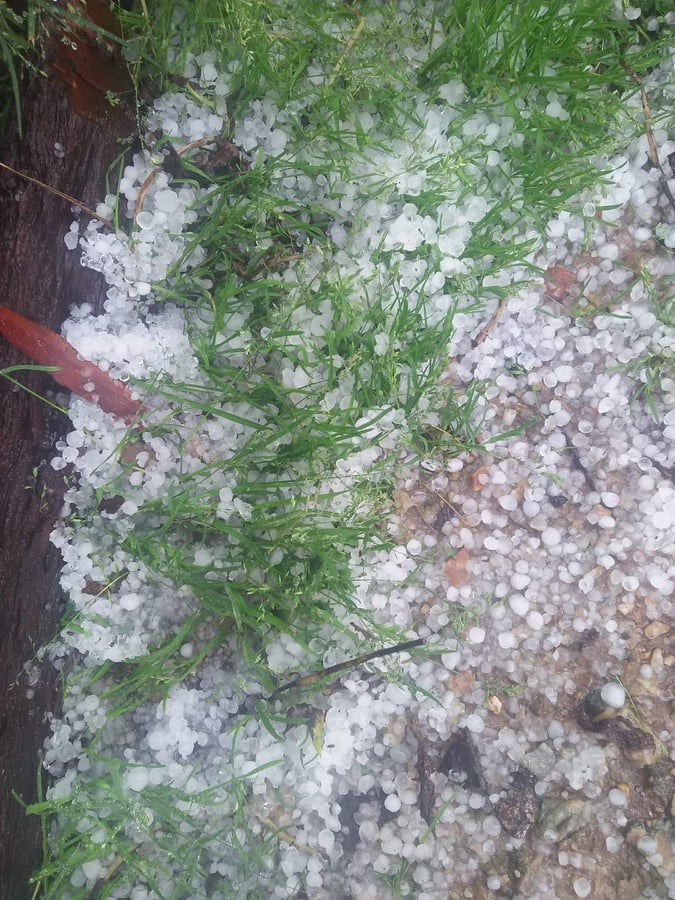 Heavy hailstorm in Bajura district has destroyed winter crops on Wednesday, May 6, 2020. Photo: Prakash Singh/THT 