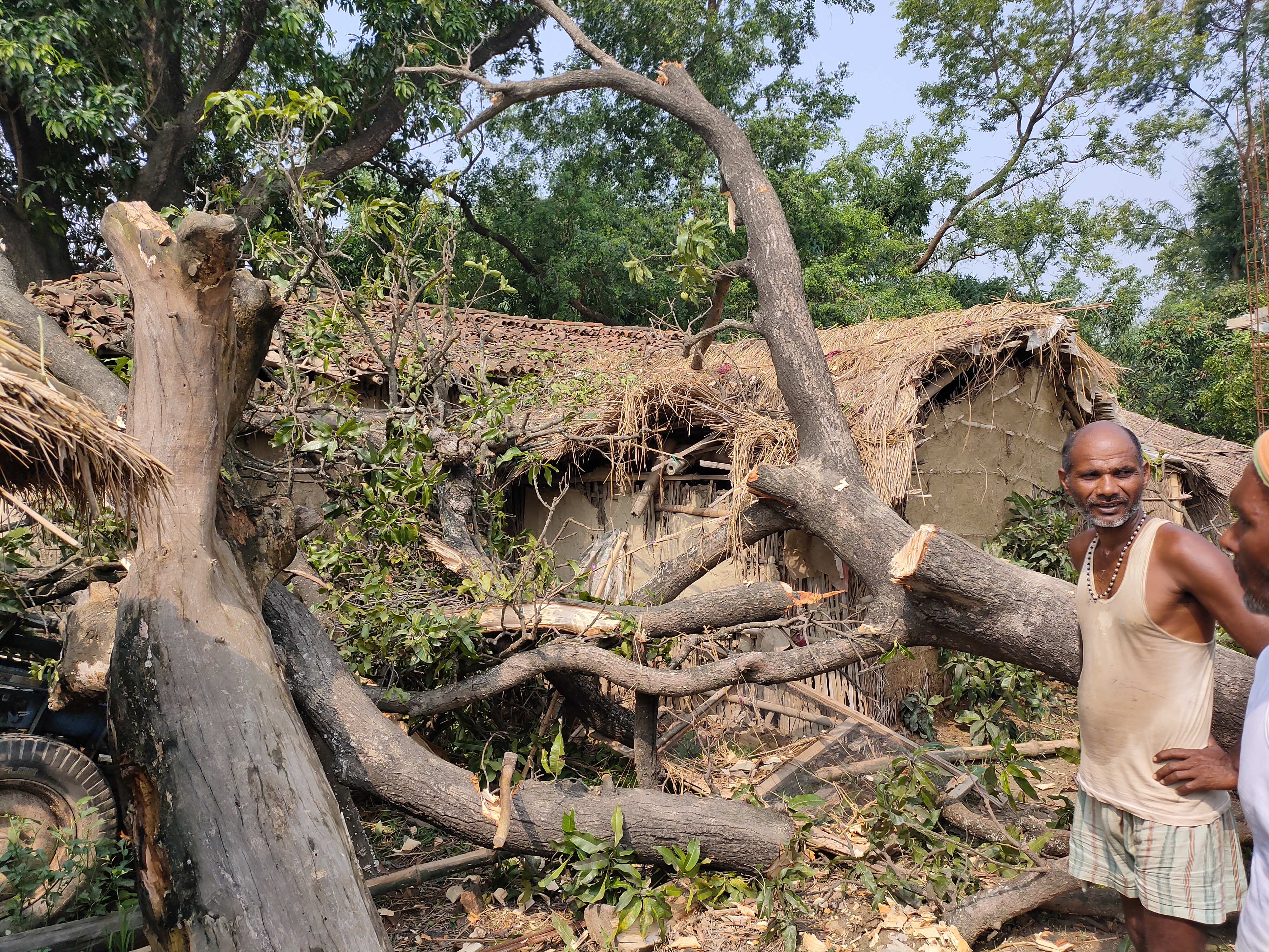 A tree that fell on the house of a local due to a storm, in Rautahat, on Monday. Photo: THT