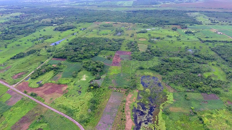 An aerial view of the ancient Maya Aguada Fenix site in Mexico's Tabasco state, with causeways and reservoirs in the front and the Main Plateau in the back, is seen in this image released on June 3, 2020.  Photo: Takeshi Inomata/Handout via Reuters