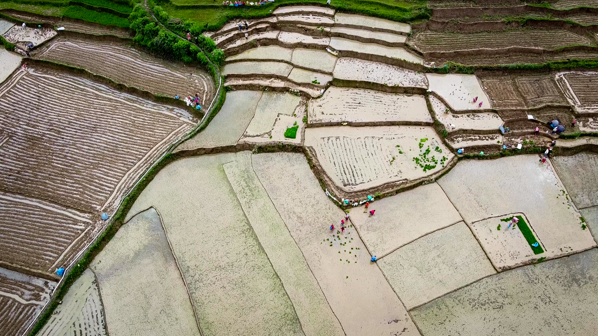 Photo: Naresh Shrestha/THT