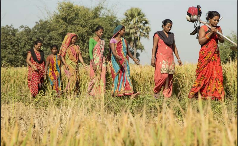 This undated image shows women walking through a field, in Nepal. Photo: UN WFP/mVAM Household Livelihoods, Food Security and Vulnerability Survey