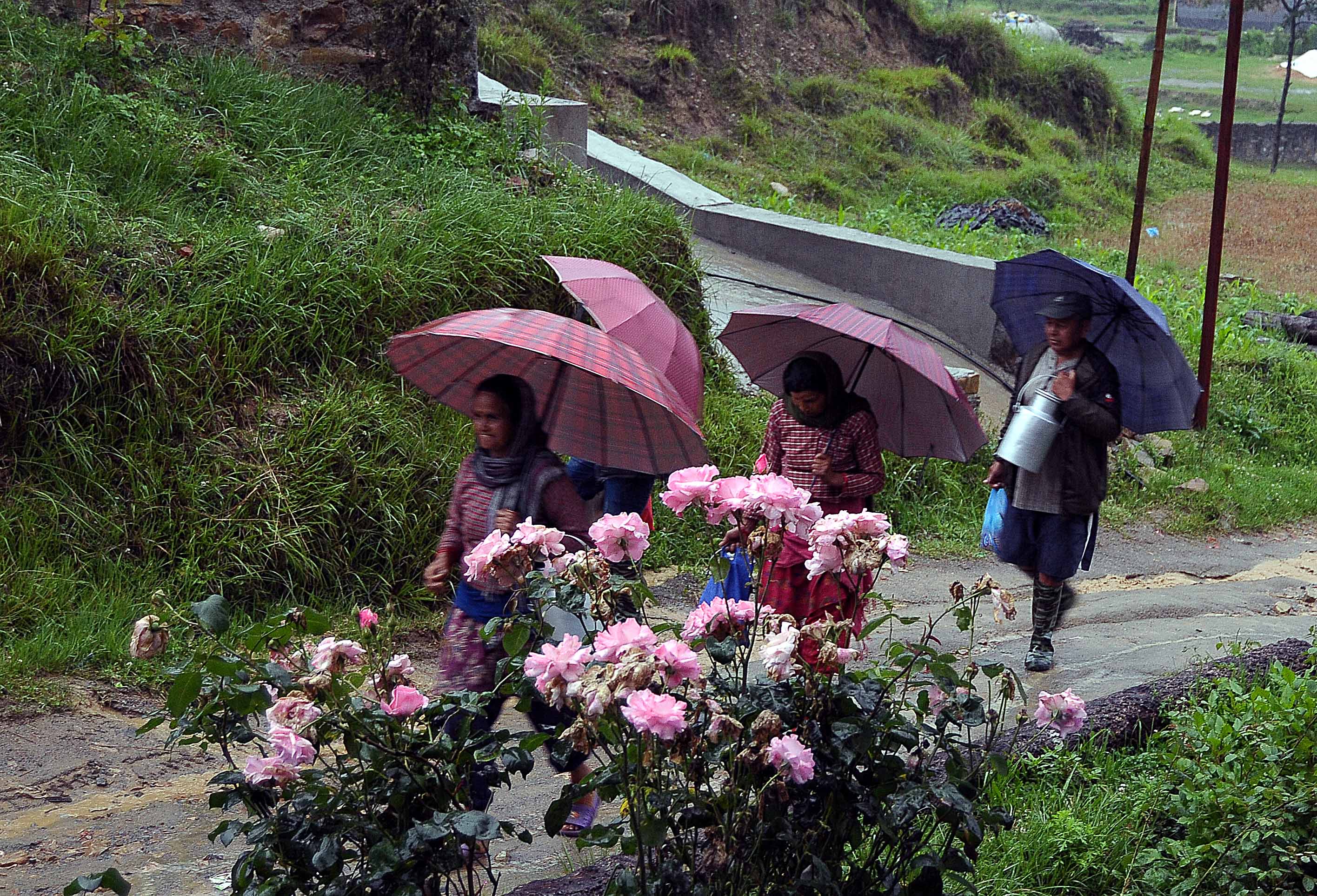 People are seen returning home after delivering milk to a local dairy at Thapagaun, in Lalitpur, on Saturday, June 6, 2020. Photo: Balkrishna Thapa Chhetri/THT