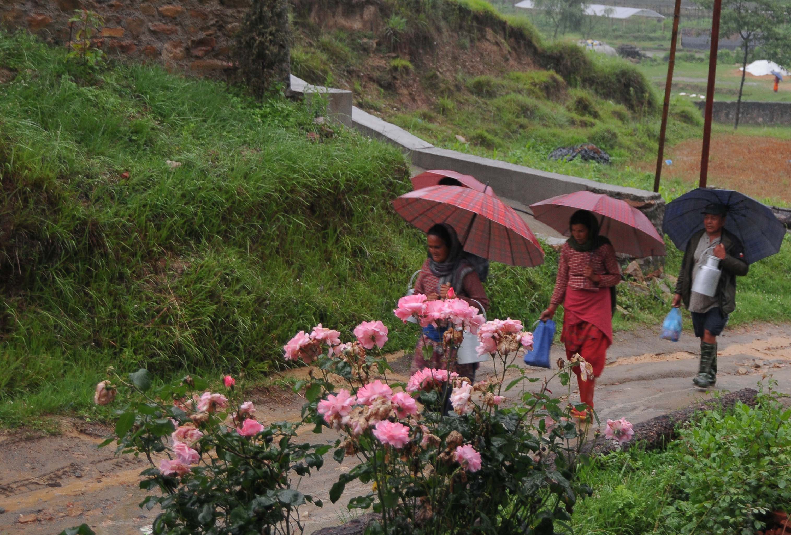 Photo: Balkrishna Thapa Chhetri/THT