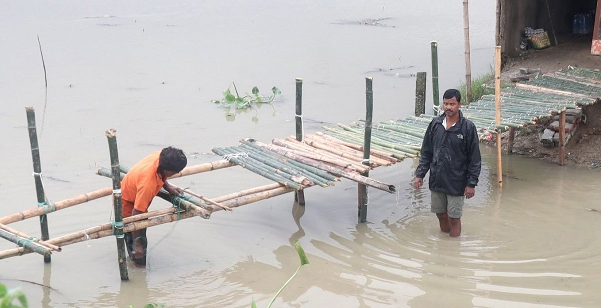 Locals building a temporary bamboo bridge for crossing after their area was inundated in Budhnagar, Biratnagar, on Monday. Photo: THT
