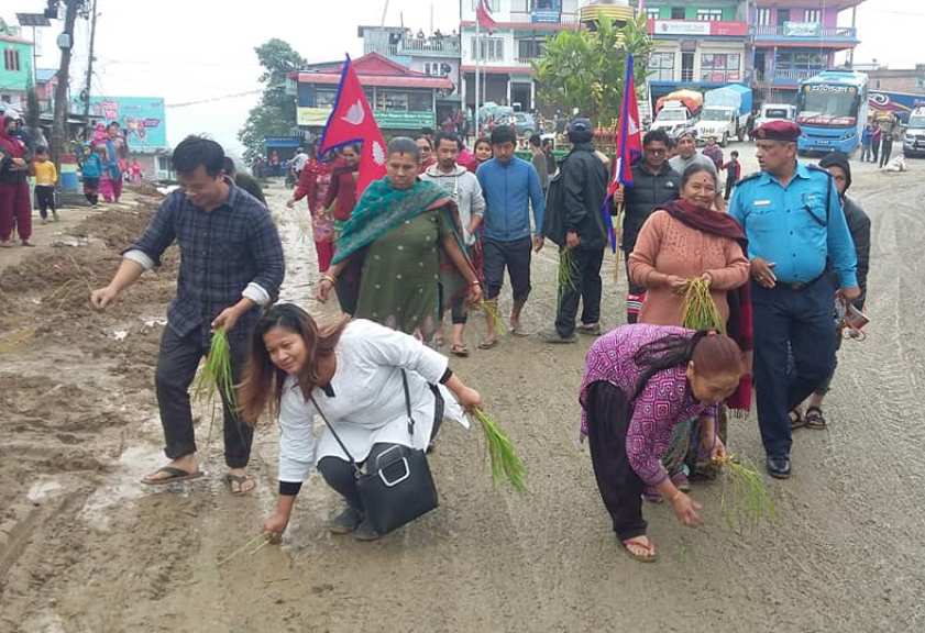 Locals in Hile Bazaar resort to National Paddy Day celebrations to express resentment for poor sewage construction project. Photo: Khagendra Ghimire/THT