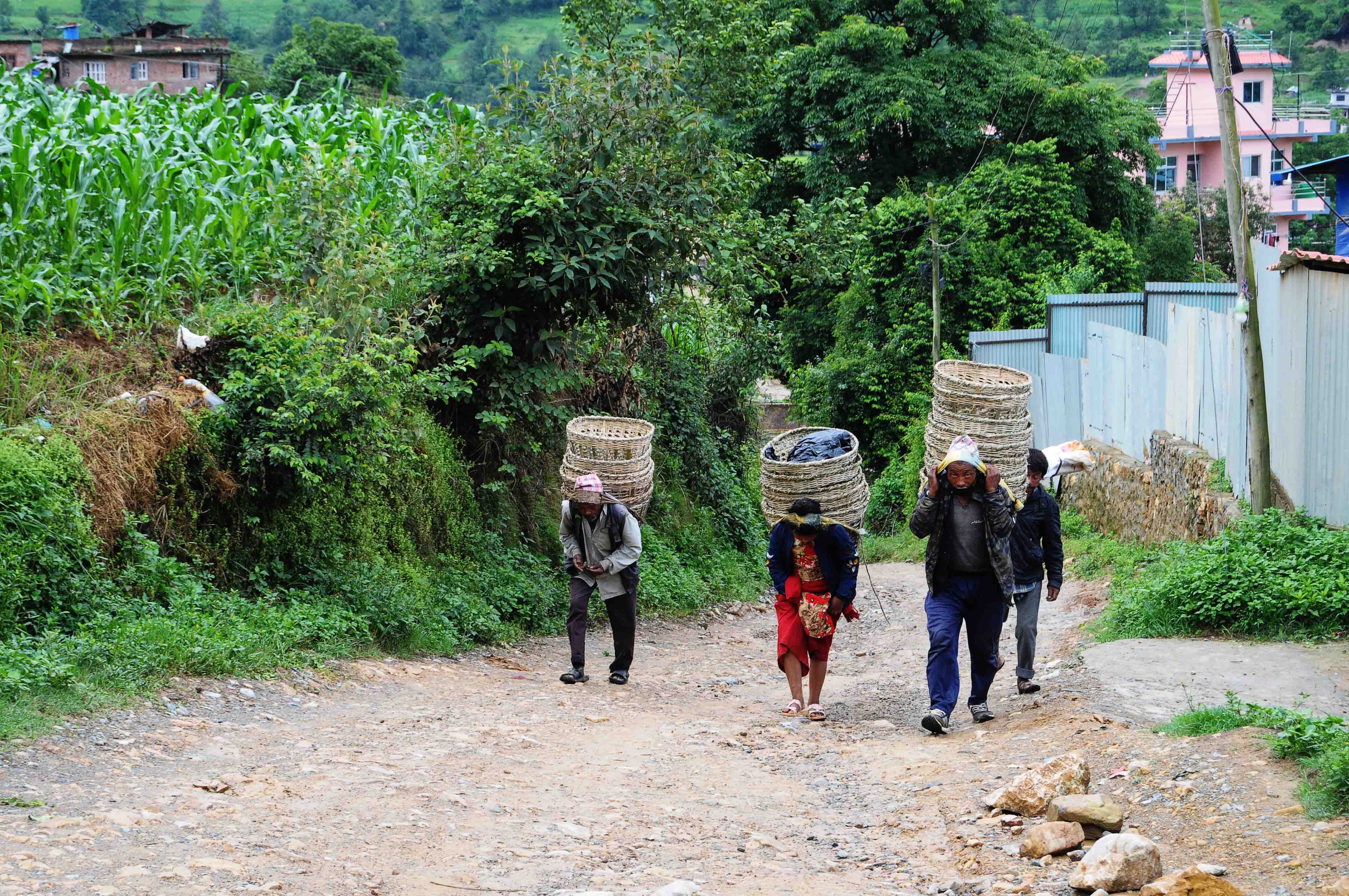 Locals are seen walking towards the market to sell their produces due to the unavailability of public vehicles, amid government-imposed lockdown, in Lele, Lalitpur, on Saturday, June 20, 2020. Photo: Balkrishna Thapa Chhetri/THT