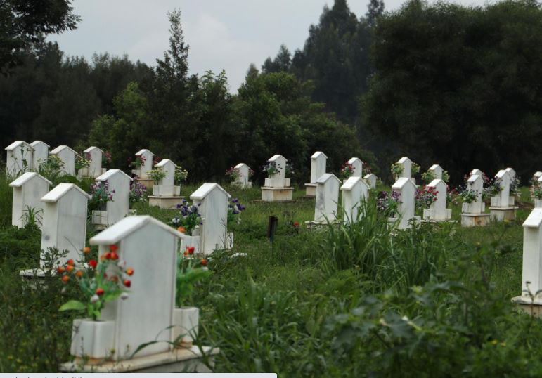 Older tombstones are seen at the Protestant and Catholic cemetery, open for burials amid the spread of the coronavirus disease (COVID-19), in Wingate, North of Addis Ababa, Ethiopia June 29, 2020. Photo: Reuters