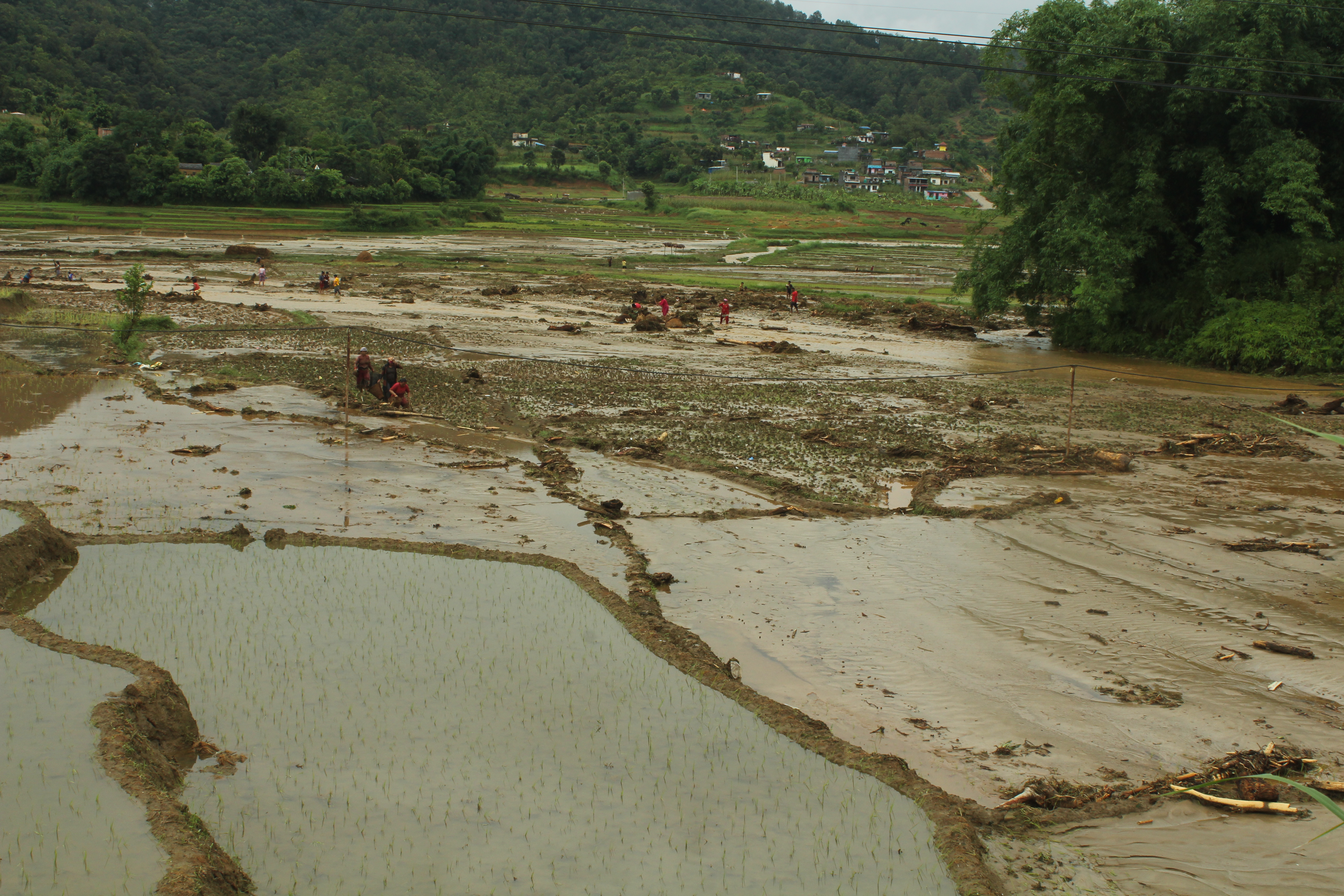 A view of flooded arable land in Tanahun district, as seen on Tuesday, July 14, 2020. Photo: Madan Wagle/THT