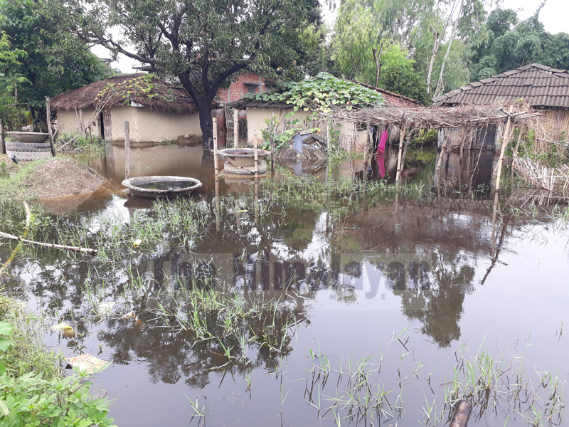 Dozens of houses in Shreepur village of Kalaiya Sub Metropolitan City were inundated due to reckless construction of Manmat-Kaliya Postal Road. Photo: Puspa Raj Khatiwada/THT