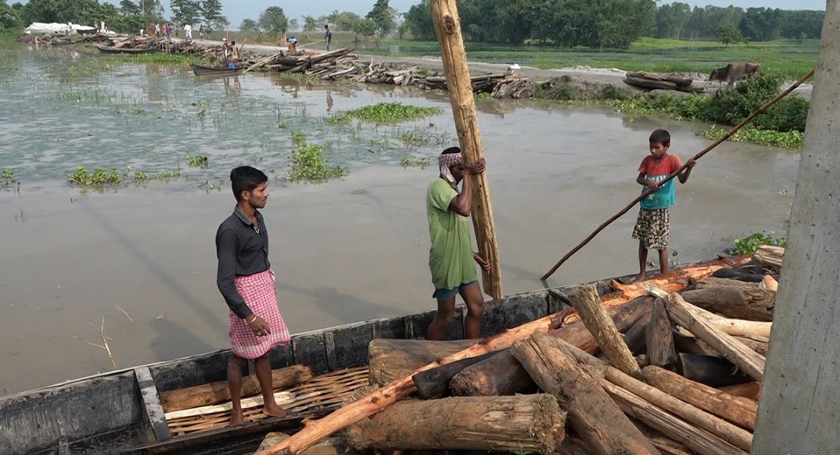 Locals collecting driftwood from the Saptakoshi River, in Saptari, on Monday. Photo: THT