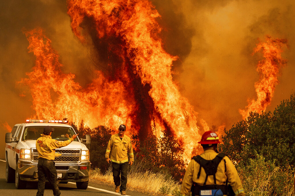 Flames from the LNU Lightning Complex fires leap above Butts Canyon Road on Sunday, August 23, 2020, as firefighters work to contain the blaze in unincorporated Lake County, California. Photo: AP
