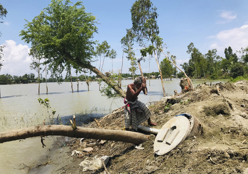 A Bangladeshi elderly person cuts an uprooted tree as the area around him is seen submerged with flooded waters in Manikganj, some 100 kilometers (62 miles) from Dhaka, Bangladesh, Thursday, Aug. 13, 2020. Photo: AP
