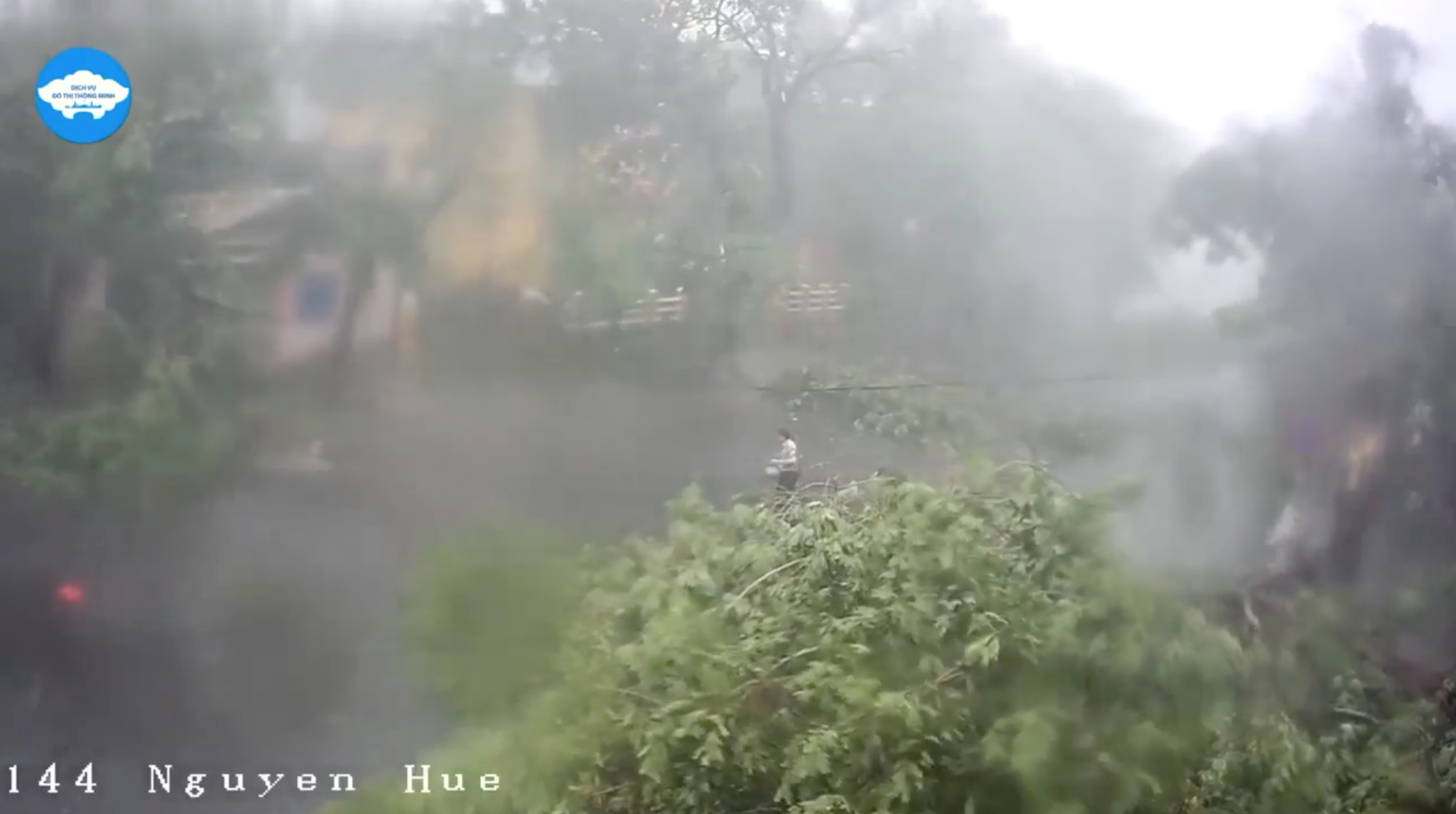 A motorcyclist walks away from a fallen tree during tropical storm Noul in Hue, Vietnam September 18, 2020, in this still image from a social media video.  Photo: Facebook@Hueioc/via Reuters